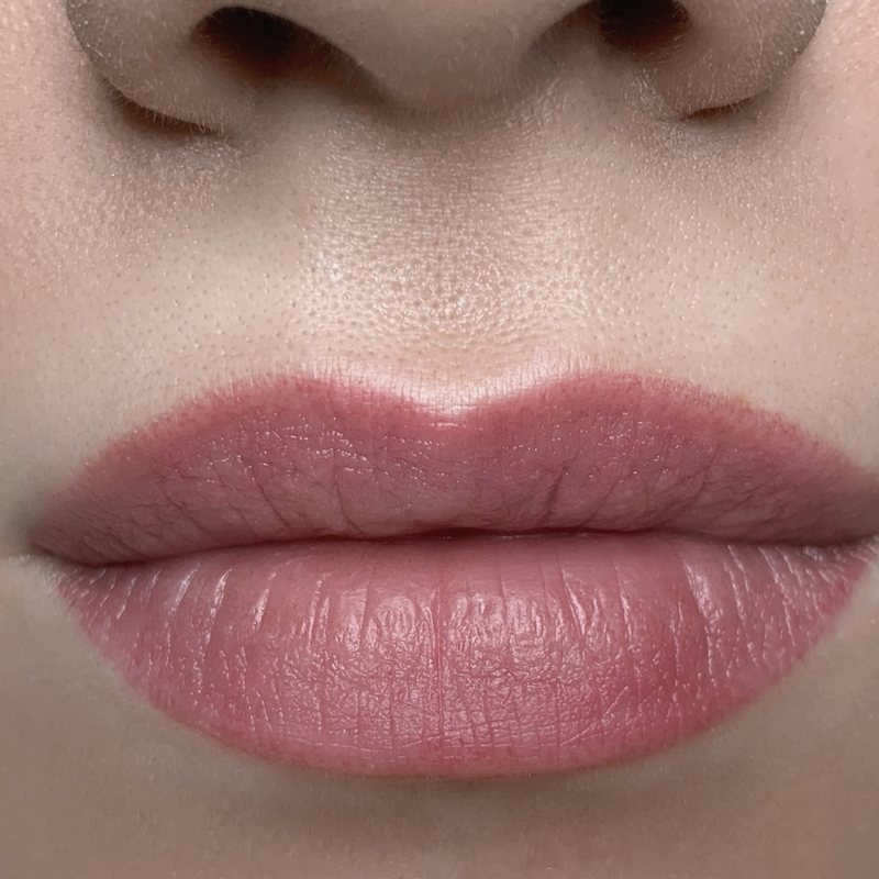 Close-up of Lip Blush pigmentation
